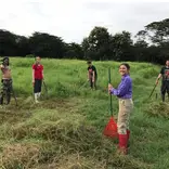 Cleaning 