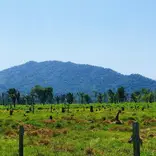Landscape photo of Belize