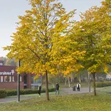 Campus