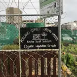 Our Roeland Street Garden