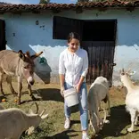 Animal care Project