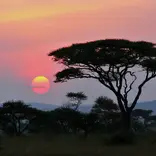 SFS Kenya Semester