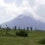 Volcano national park in Rawanda.