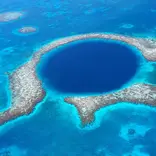 Coral reef
