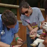 Students gaining fieldwork experience at a local farm.