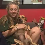 take care of dogs