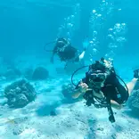 ARCC Gap Central America: Scuba Diving in Belize