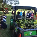 Rainforest Tree Planting