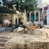 Women and Girls' Empowerment in Rajasthan, India