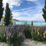 Lake Tekapo, New Zealand