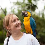 Protect exotic wildlife in the Amazon Rainforest!
