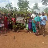 Tree planting in schools