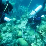 Laying a coral transect