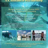 U.K. Associates of BIOS Internship flyer
