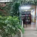 semester study abroad in costa rica with cis abroad