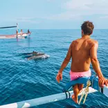 Dolphin Spotting in Lovina
