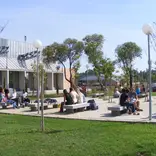 Spacious green campus