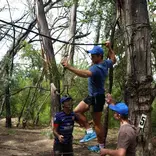 Team building