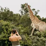 Wildlife conservation volunteer project