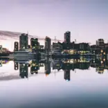 auckland