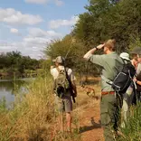 Volunteer Experience