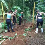 Cover organic compost