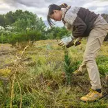 planting native trees