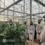 Students watching a pepper crop