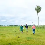 Fieldwork with PLT