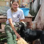 Dog Shelter Volunteering