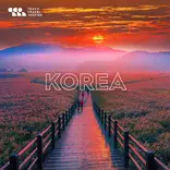Teach in the amzing country South Korea