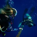 Divers on safety stop