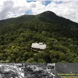 Rewilding an old mine at Reserva Jaguarapira 