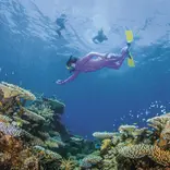 TEAN: Study Abroad in Townsville, Australia