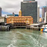 TEAN: Study Abroad in Auckland, New Zealand