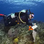 Marine Conservation Volunteering