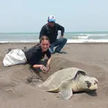 Recollection of a nest found in a danger zone.