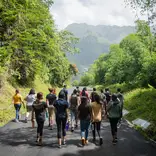 Students walking as a group