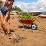 Environmental Education and Conservation