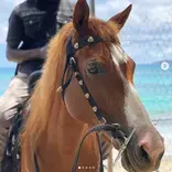 Bonanza!