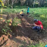 Permaculture
