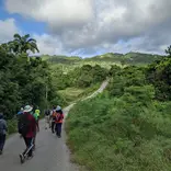 Country Hike