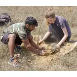 Planting trees in India