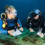 Completing a coral survey from Nusa Lembongan, Bali, Indonesia
