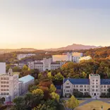Korea University