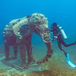 Scuba diving 