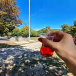 Drink tea outdoors with a view