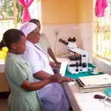 st joseph laboratory 