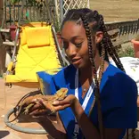 Doctors in Italy Fellowship | VetMed Shadowing in Italy