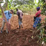 Volunteer Planting Tress in a local village